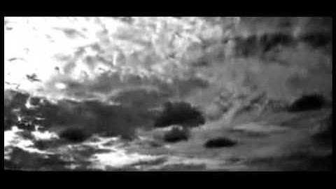 Acretongue - Estranged (Music Video)