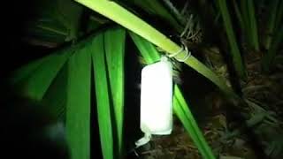 Electronic Trip Wire Alarm