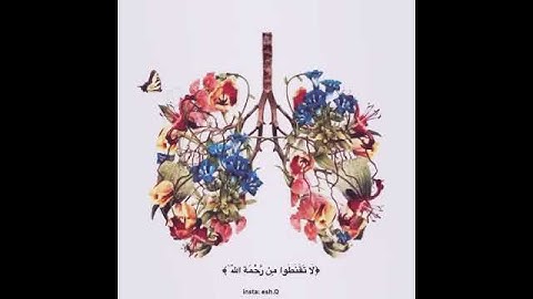 حالات واتس اَب دينيه ماتيسر من سورة الزمر 🥀♥️