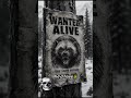 This 30-pound animal fights bears without hesitation 💀 #Wildlife #AnimalAttack #WildlifeDocumentary