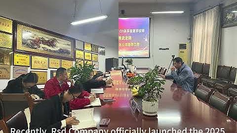 Rsd has initiated the Q1 API system audit for 2025