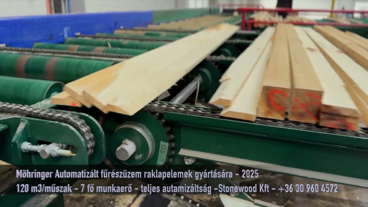 Möhringer fűrészüzem raklapgyártáshoz | Ipari raklapanyag-gyártó technológia