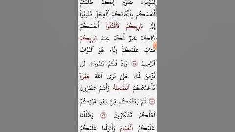 حفظ سورة البقرة بالتجويد صفحة (٨)تلاوة مع التكرار لتيسير الحفظ
