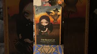 Getting back on your feet ✨💫✨🐈‍⬛✨🔮✨