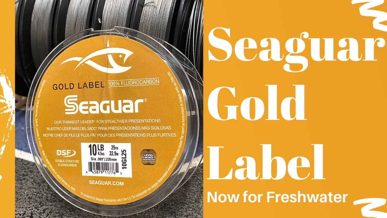 Seaguar Gold Label 100% Fluorocarbon Fishing Line DSF, Freshwater and  Saltwater