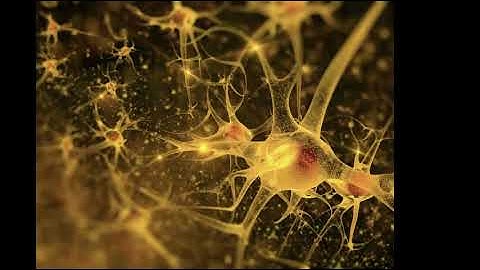 Neuroscience Data: Visualize, Collaborate & Build, Dr. Stephen Larson