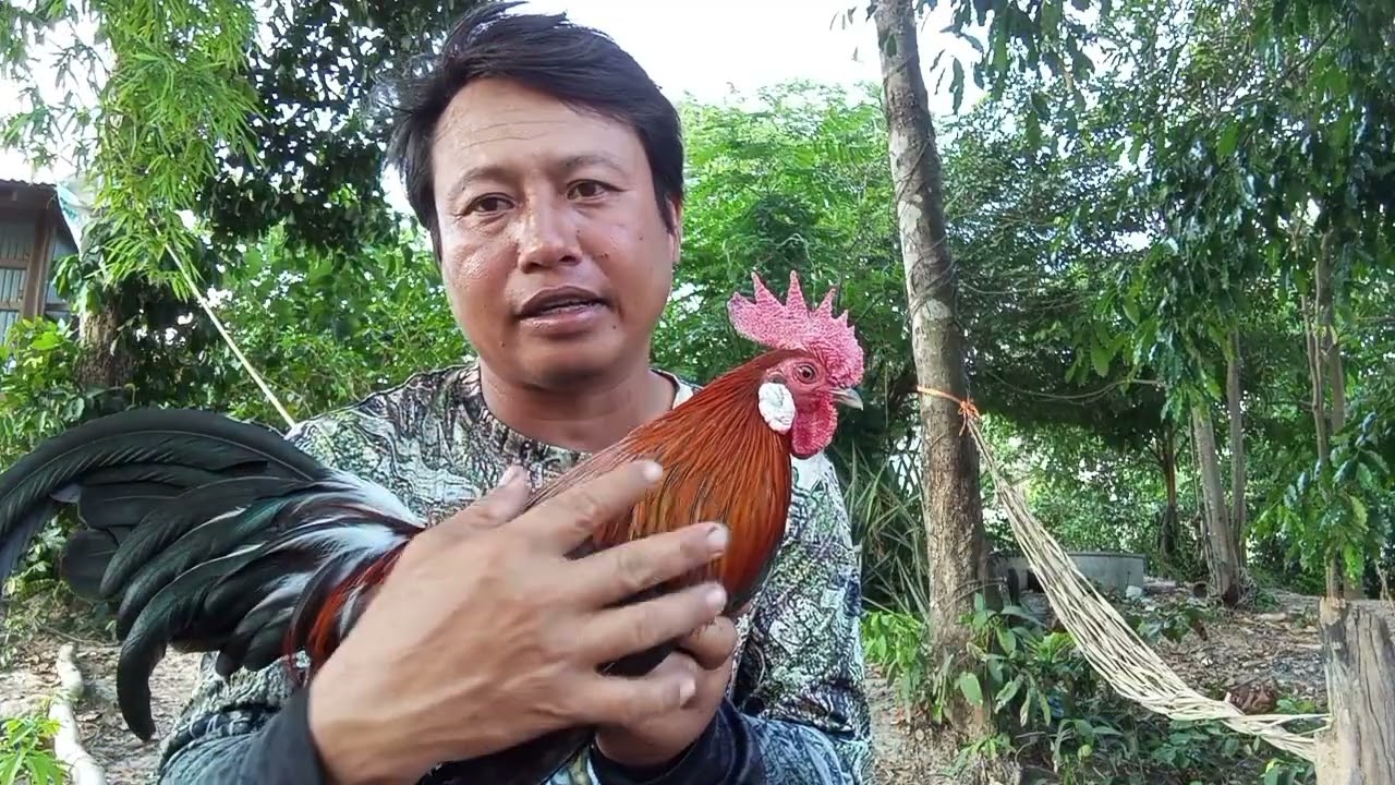 ep,10#เทคนิคปักคืนทาง