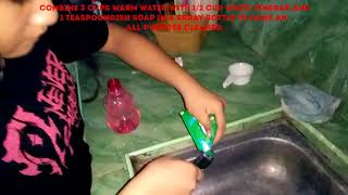 Performance Task in TLE