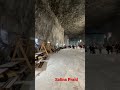 Salina Praid 50 Lei Biletul Salina Praid Harghita Salina Praid 50 Lei Biletul Salina Praid Harghita