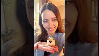 Scientists Went Too Far This Time 