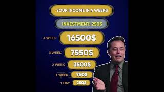 The New TeslaX Program