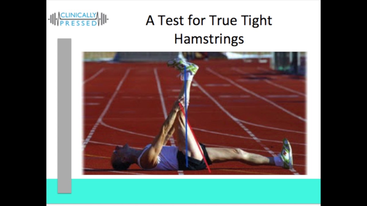 Clinical Insight: Hamstrings-Tight vs. Taut - YouTube