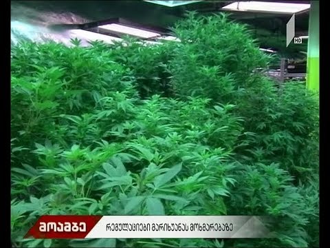 რეგულაციები მარიხუანის მოხმარებაზე