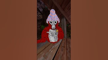 Day 10 of joining my FANCODE until 10k! #gorillatag #gtag #vr #new #juke #fancode #challenge #series