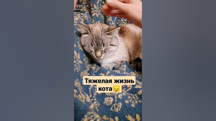 ГРУСТНЫЙ РАЗГОВОР С КОТОМ, СЕРИЯ 9😔