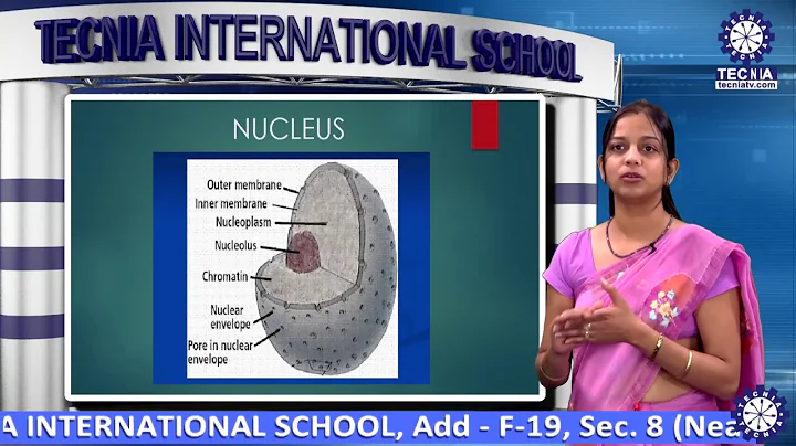 TIS || ROOPALI BANSAL || Biology|Cell -The unit of...