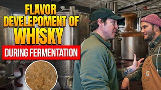 Importance Of Fermentation In The Whisky Making Process