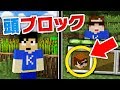 【マインクラフト】MODなしで有名実況者の頭ブロックを出す方法！！【マイクラ小技紹介】