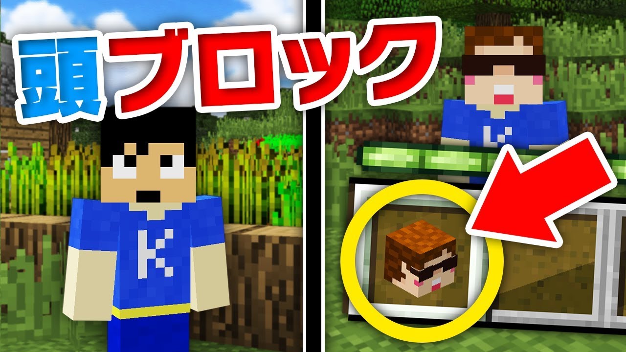 マインクラフト ヒカキンマスク Modなしで有名実況者の頭ブロックを出す方法 マイクラ小技紹介 Youtube