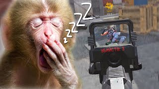 😴КОГДА ХОЧЕШЬ СПАТЬ, НО ТАЩИШЬ ИЗ ПОСЛЕДНИХ СИЛ😴 ВАРФЕЙС | WARFACE