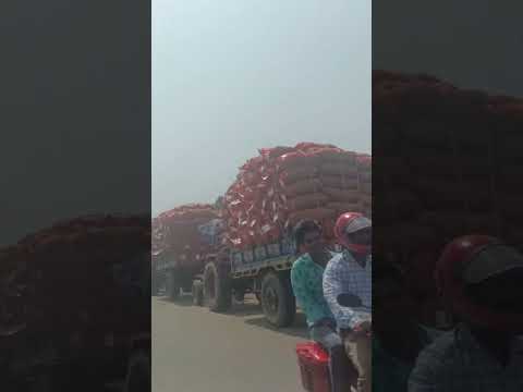 aalu ka new Laut a Gaya | aalu ka wholesale business