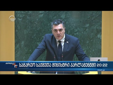 საგარეო საქმეთა მინისტრი პარლამენტში