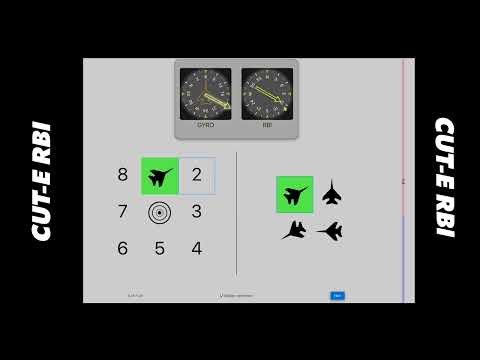 CUT-E Spatial Orientation