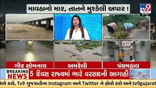 Unseasonal rain batters Gujarat again as Amreli, Gir Somnath and Botad face heavy downpour | TV9