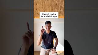 5 Lymph Nodes For Vital Drainage