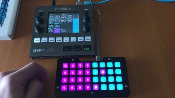 1010music blackbox: 32 Trigger NeoTrellis M4 Sample & Sequence Launcher @johnedgarpark