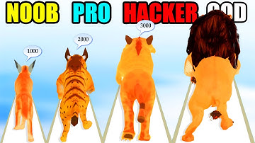 NOOB vs PRO vs HACKER vs GOD Cat Evolution