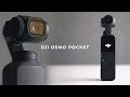 DJI Osmo Pocket Vale a pena? REVIEW Portugues Br Fernando Cesar