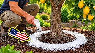 Full 3 FOOLPROOF Methods to Get Rid of ALL Types of Insects: Aphids, Ants & More News