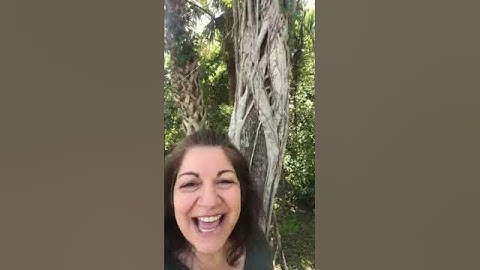 How Does a Strangler Fig Grow