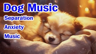 Dog Music TV💖🐶โปรดให้สุนัขของคุณได้ยินเมื่อคุณออกไปข้างนอก ดนตรีสำหรับสุนัข