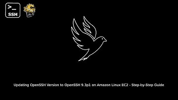 How to Update OpenSSH version to OpenSSH 9 3p1 On Amazon Linux EC2