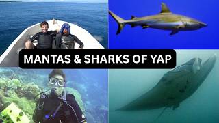 003 Yap Beneath the Surface — More Mantas, Sharks, and the Rhythm of the Reef