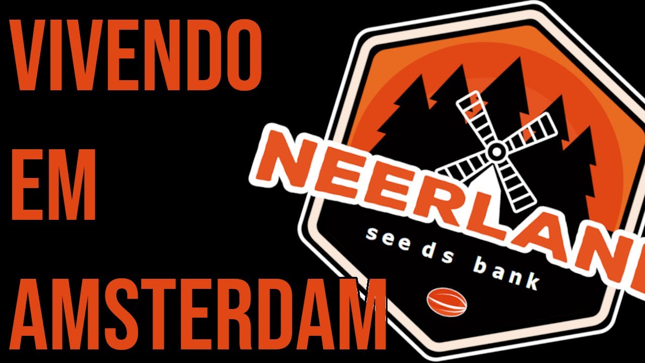 MORANDO EM AMSTERDAM - POTCAST COM BRAGA - SÓCIO NEERLAND - Parte 2