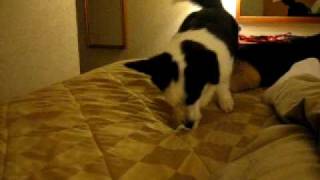 20090717 002