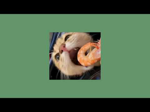 حبك سفاح مسرعة Speed Up نانسي عجرم