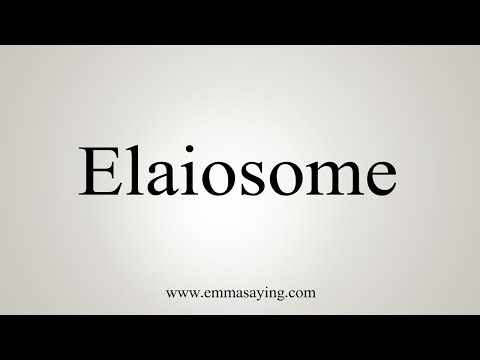 Video: Elaiosome nədir: Toxumlarda Elaiosome funksiyası haqqında məlumat əldə edin