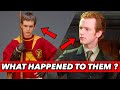 What Happened To These Harry Potter Characters ? (George Weasley, Oliver Wood, Percy Weasley, ...)