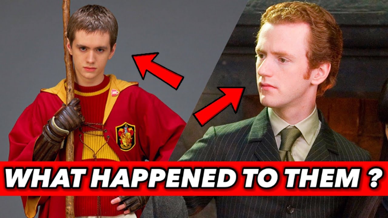 What Happened To These Harry Potter Characters ? (George Weasley, Oliver  Wood, Percy Weasley, ...) - YouTube