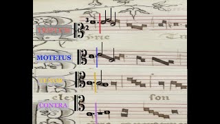 Square notation into modern notation by Miguel d'Oliveira 195 views 1 year ago 2 minutes, 14 seconds