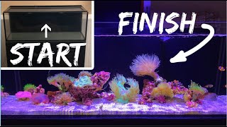 How To Setup A Saltwater Aquarium: Step By Step