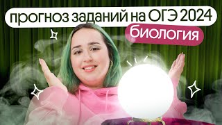 ⚡️ЧТО БУДЕТ на ОГЭ по биологии в 2024 году? | ПРОГНОЗ⚡️