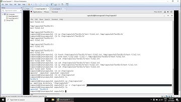 021. Linux Capsule - LSA 1-1 - Capsule 2 - Section 3 - Managing Files ( Part 2 )