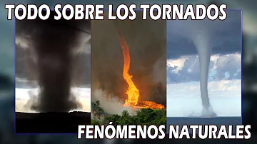 ¿Cuáles son los 3 tipos de tornados?