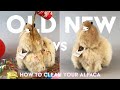 How to clean your fluffy alpaca toy  6 easy steps  inkari