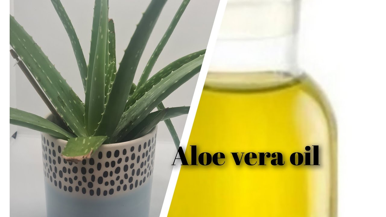 HOW TO MAKE ALOE VERA OIL//DIY YouTube